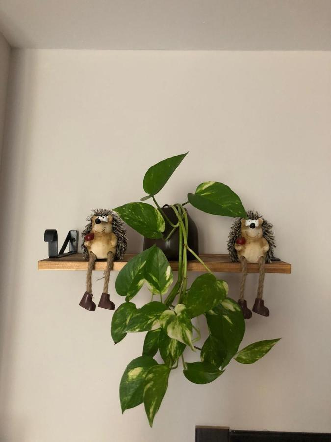 塞哥维亚La Casita De Pedraza别墅 外观 照片